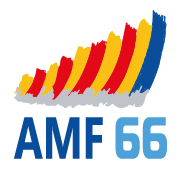 logo amf66 mini